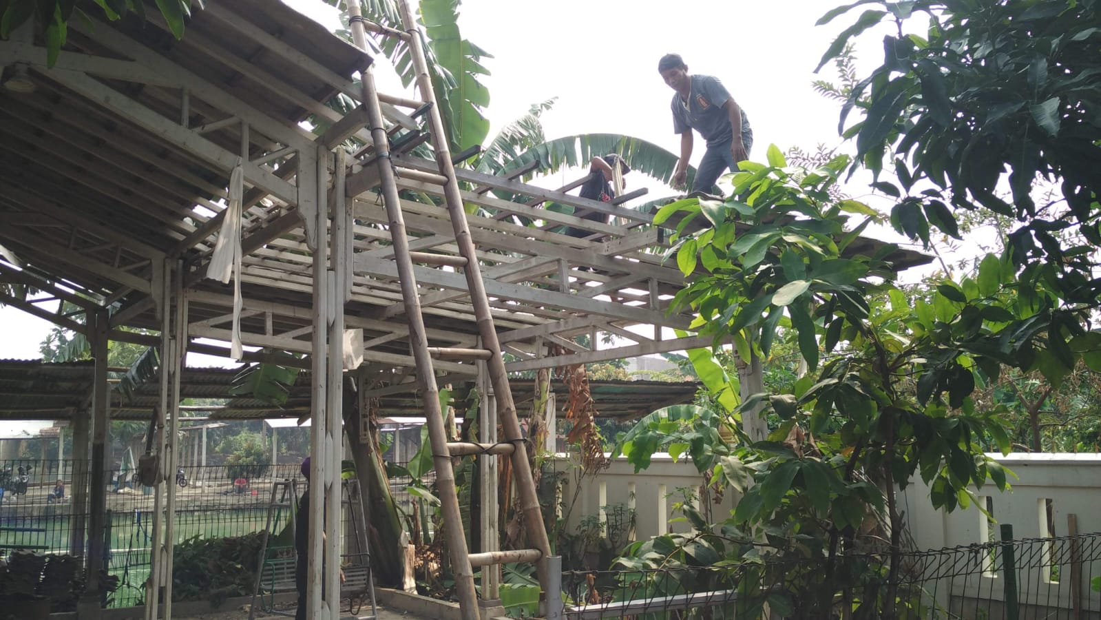 WhatsApp Image 2024 03 11 at 13.37.15 191c1b61